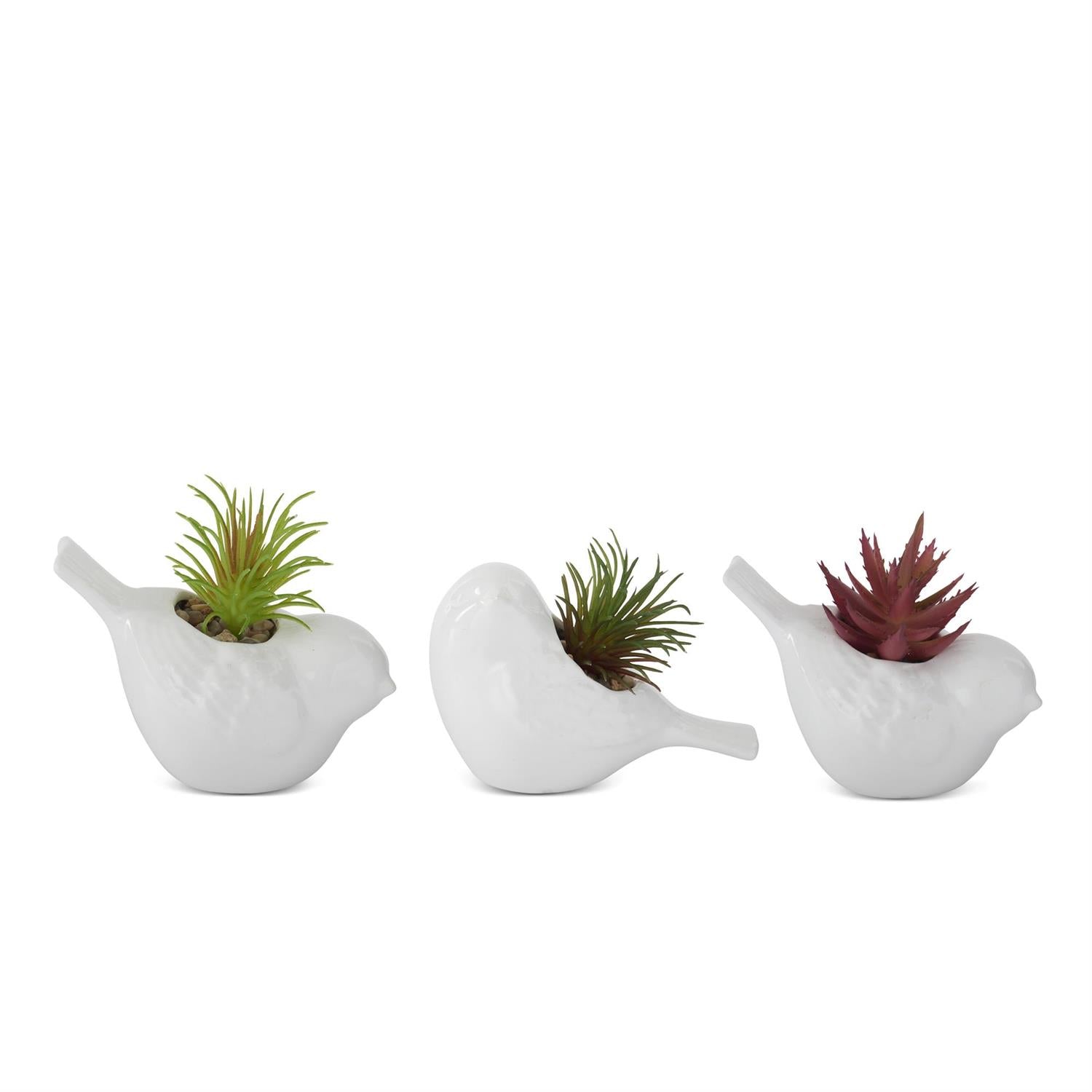 White Ceramic Bird with Succulent