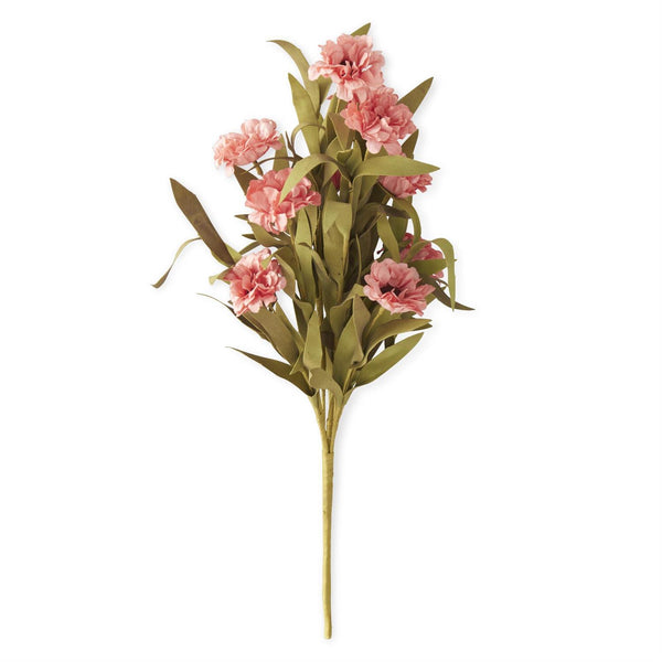 Oriental Poppy Bush with Eva Foilage