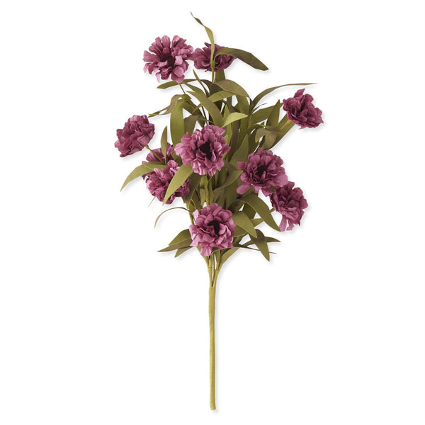 Oriental Poppy Bush with Eva Foilage