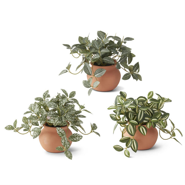 Ceramic Potted Plants