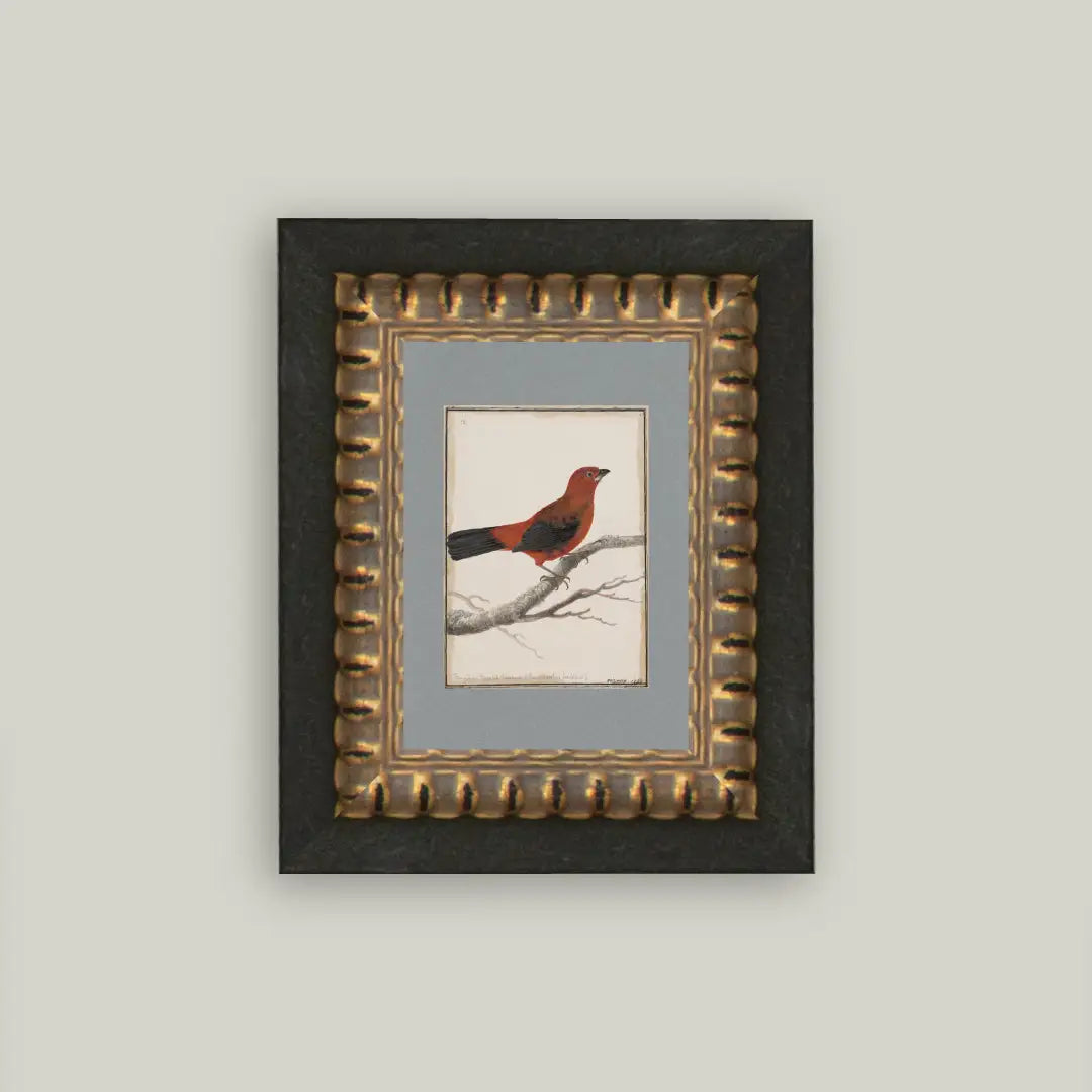 Red Bird Framed Artwork