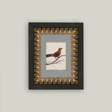 Red Bird Framed Artwork