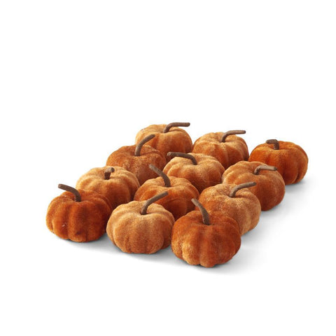 Velvet Pumpkin Box Set