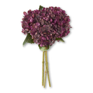 Two Tone Hydrangea Bundle