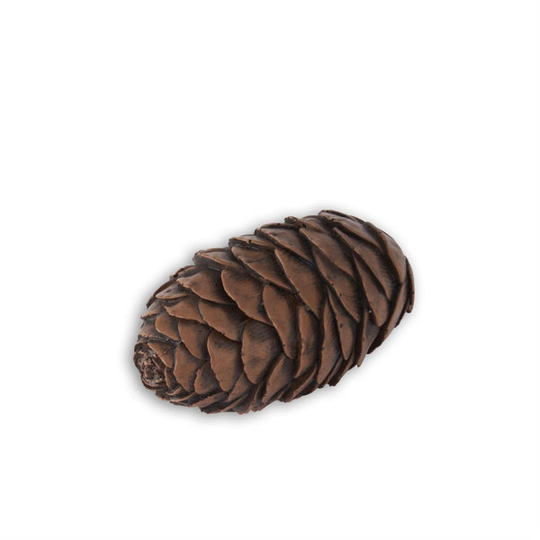 Brown Acorn