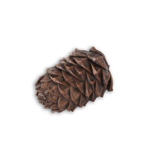 Brown Acorn