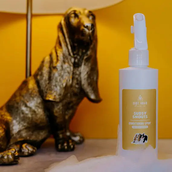 Dog Conditioning Spray