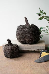 Vine Pumpkin