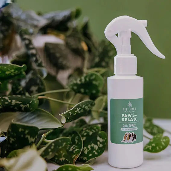Dog Conditioning Spray