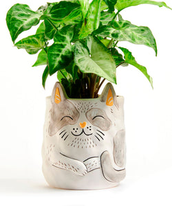 Grey Cat Planter