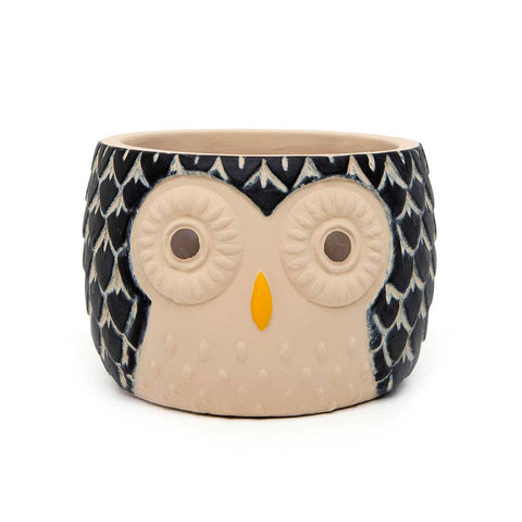 Hootie Owl Pot