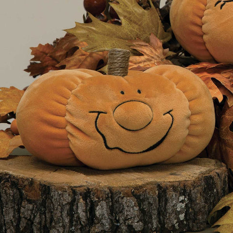 Pumpkin with Face