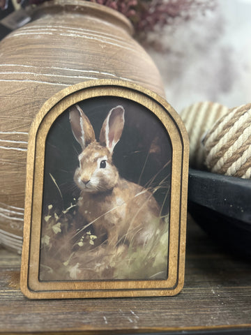 Bunny Framed Artwork