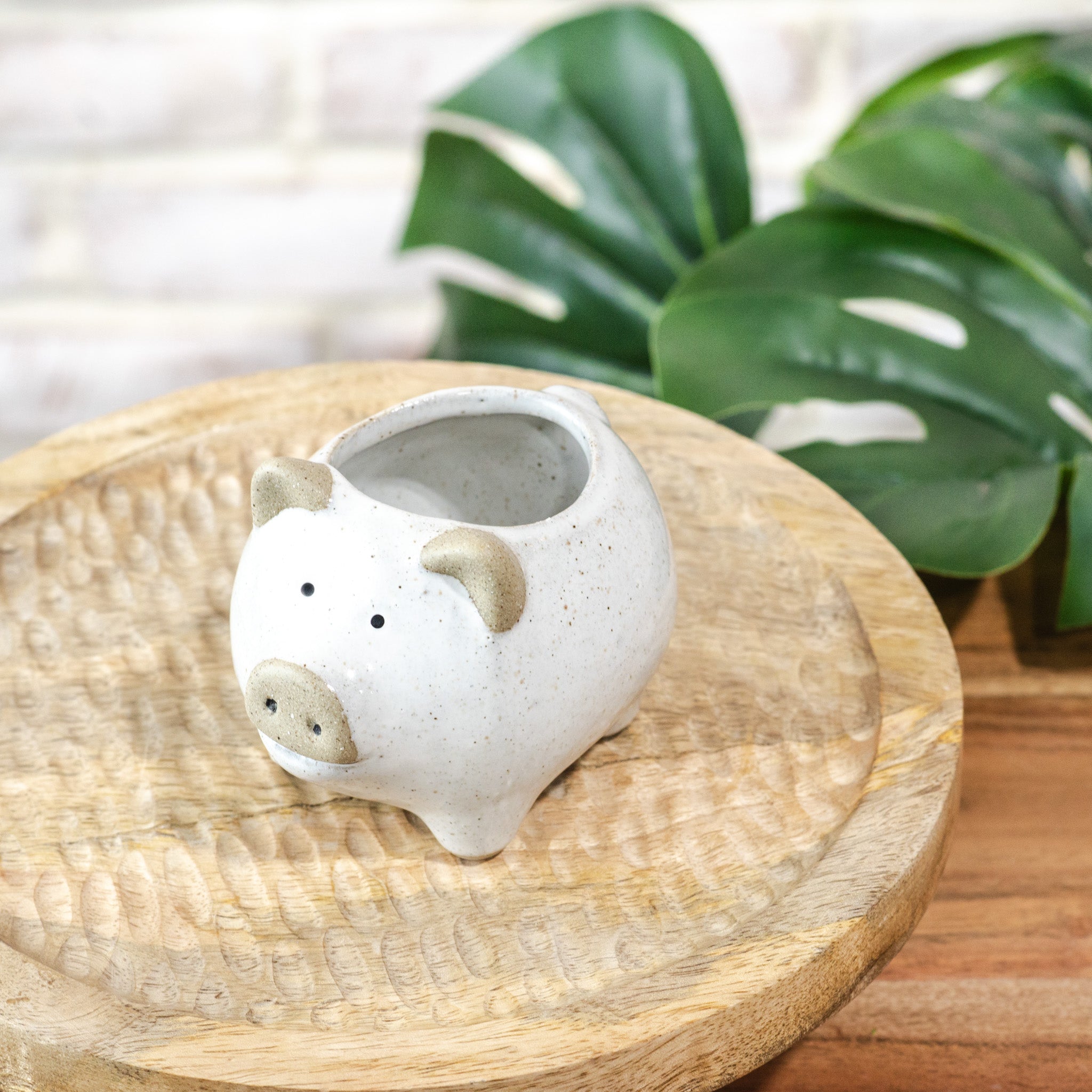 Two Tone Ceramic Pig Planter