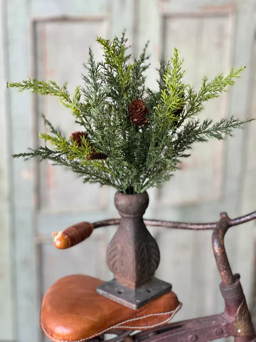 Prickly Pine Pick