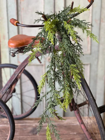 Prickly Pine Hanging