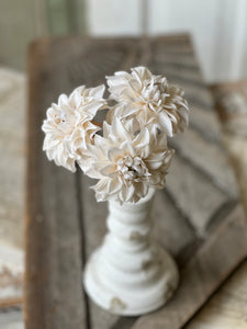 Damask Dahlia Bundle