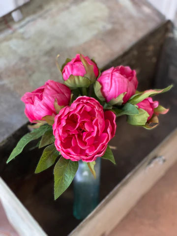 Peony Bundle