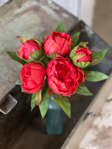 Peony Bundle