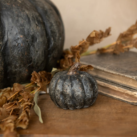 Black Short Pumpkin