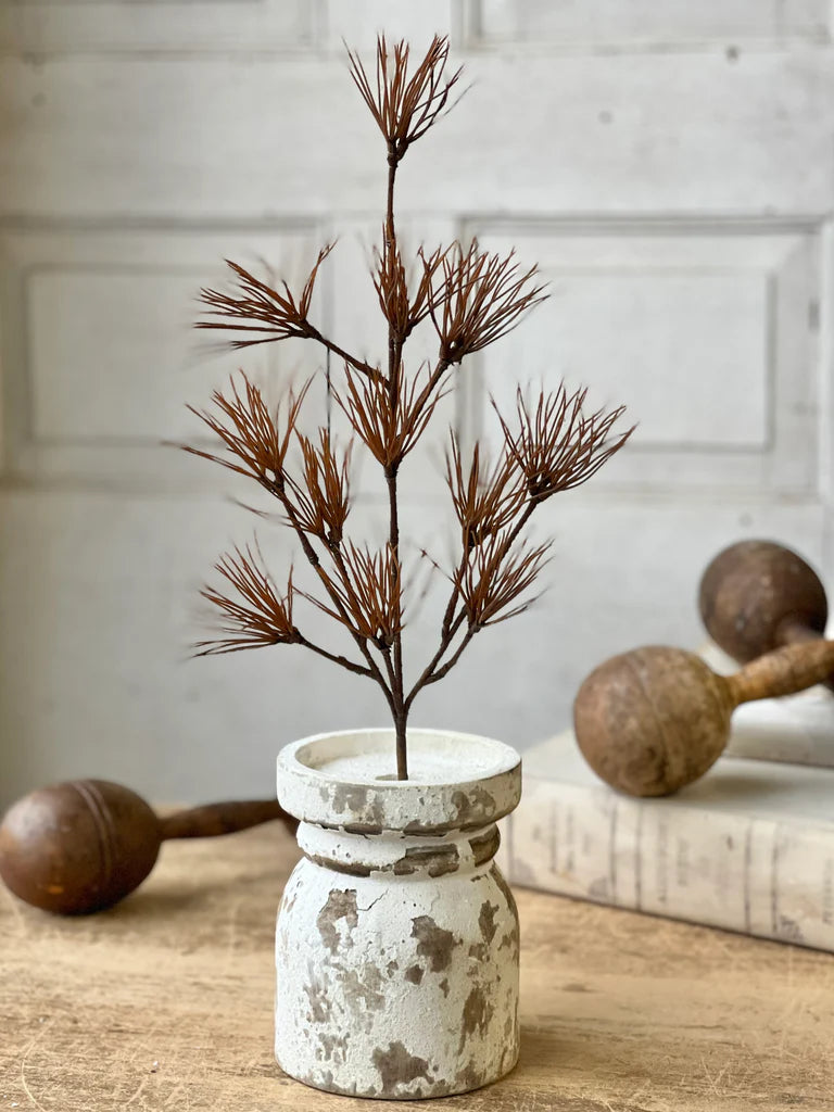 Tussock Grass Spray