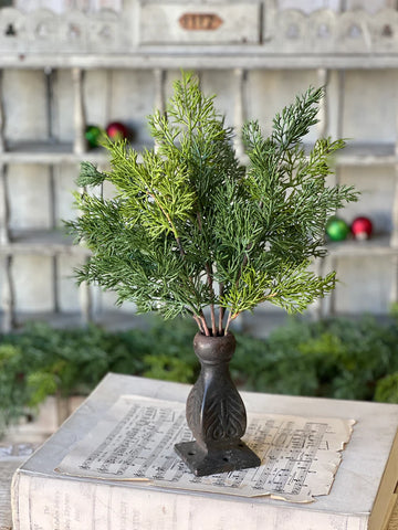 Verdant Cedar Bush