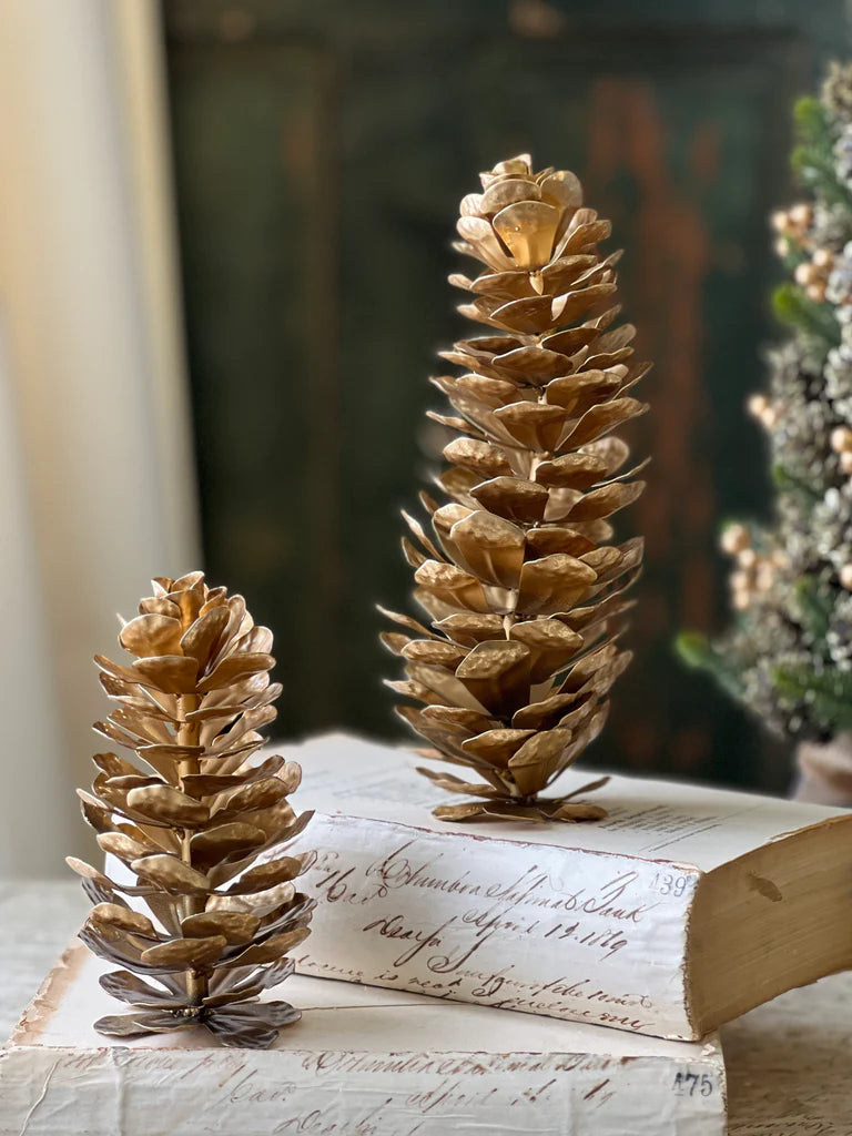 Epaulette Pinecone