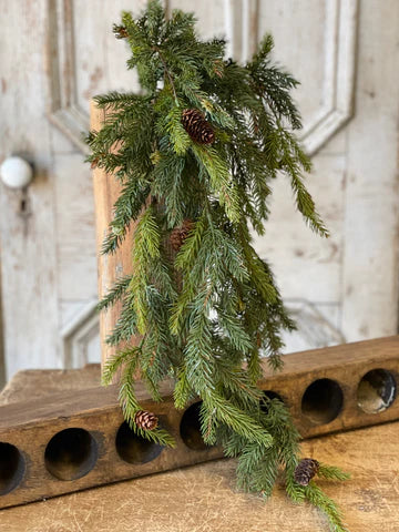 White Spruce Hanging