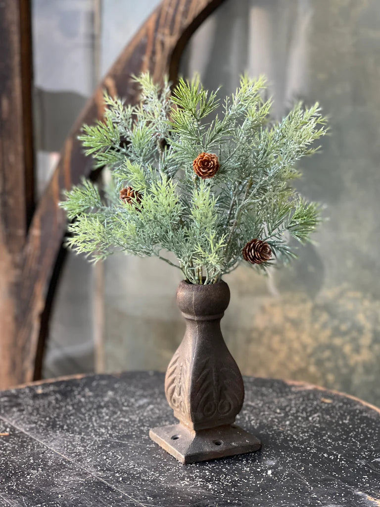 Stellar Cypress Bush