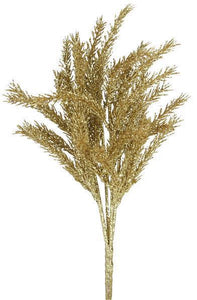 Pine Gold Bush