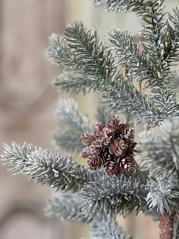 Star Cone Ornament