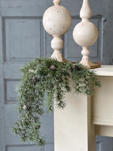 Shining Spindle Pine Hanging