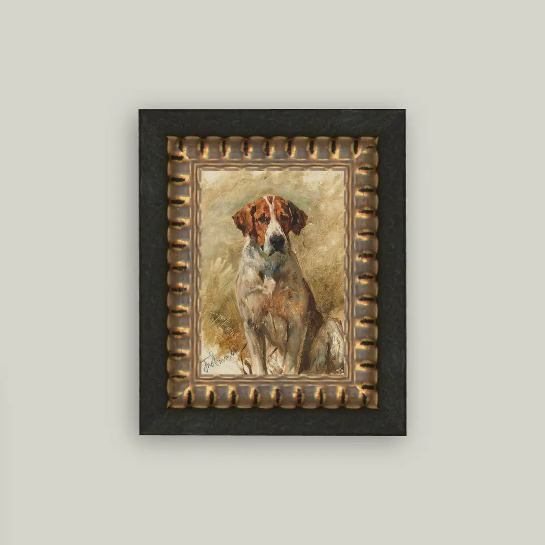 Study of a Hound