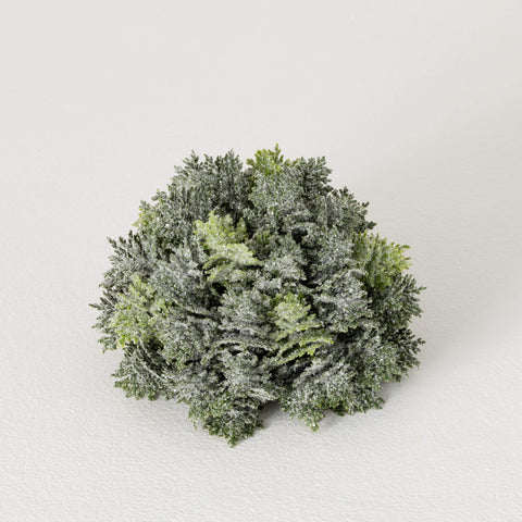 Cypress Orb
