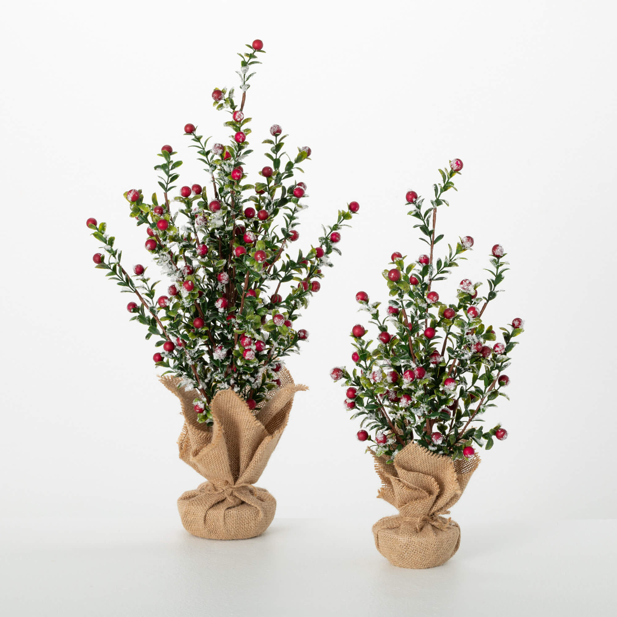 Boxwood Berry Tree