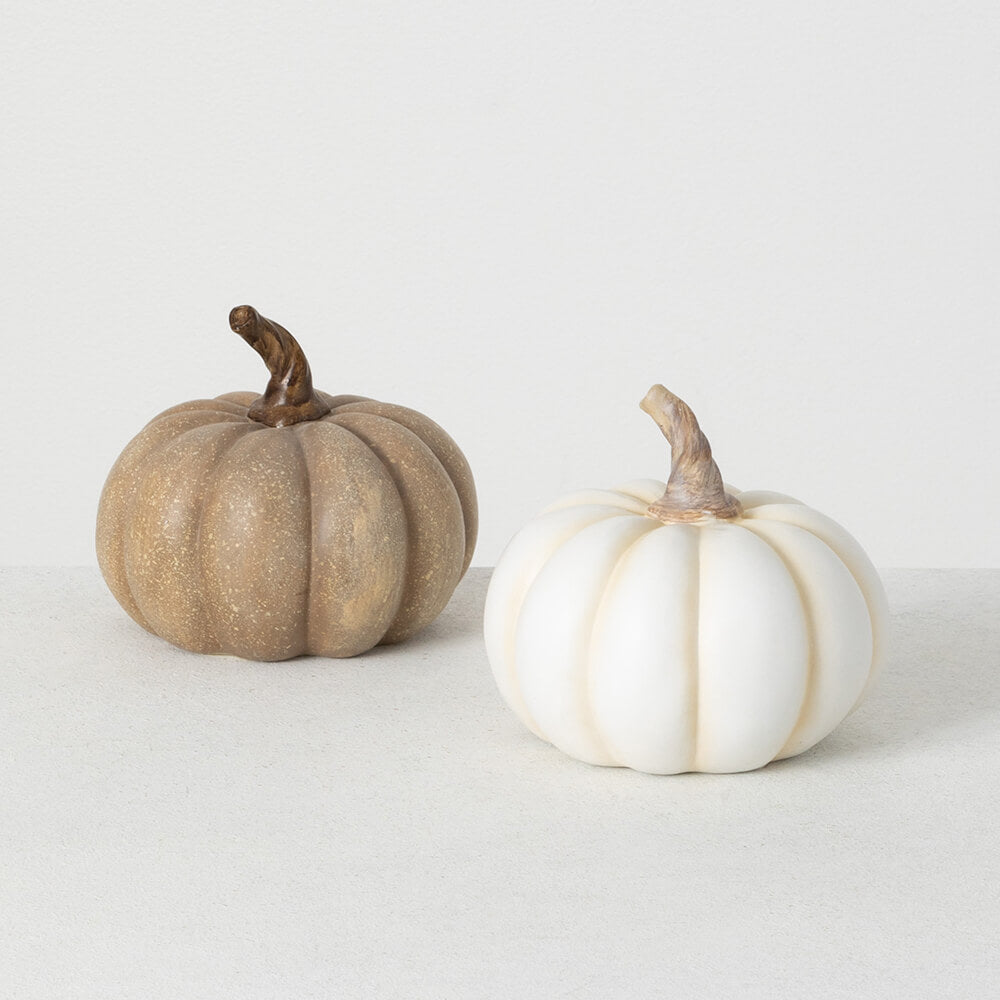 White & Brown Mini Pumpkin