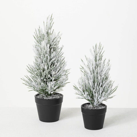 Flocked Tabletop Pine Tree