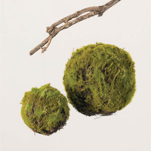Moss Covered Orbs