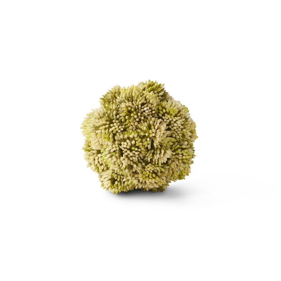 4" Sedum Ball