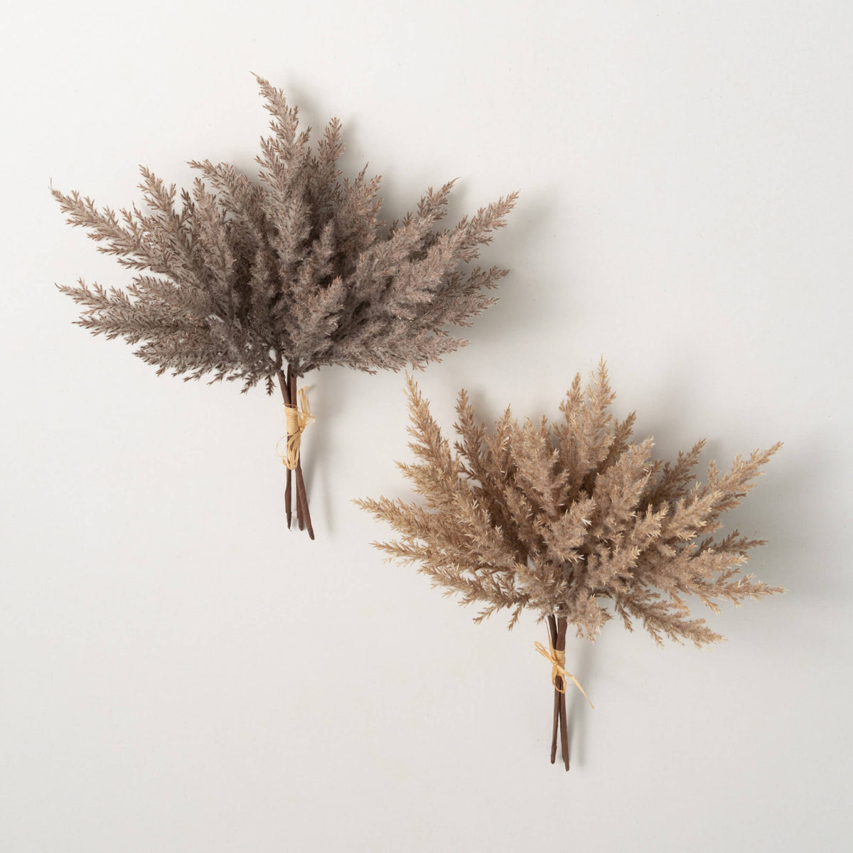 Pampas Grass Bundles – 785 DECOR