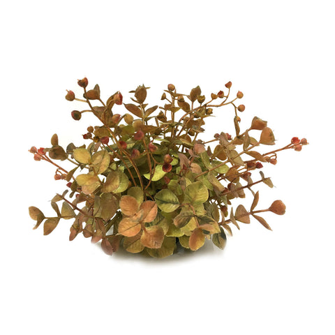 Fall Eucalyptus 1/2 Orb