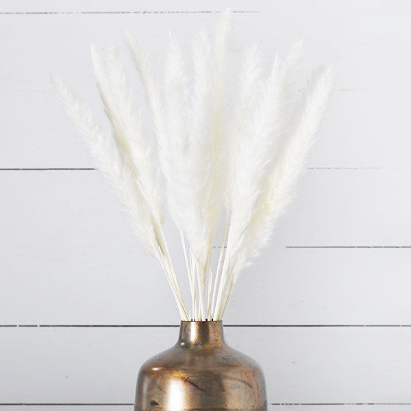 White Pampas Bundle