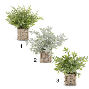 Herbs in Square Woven Basket