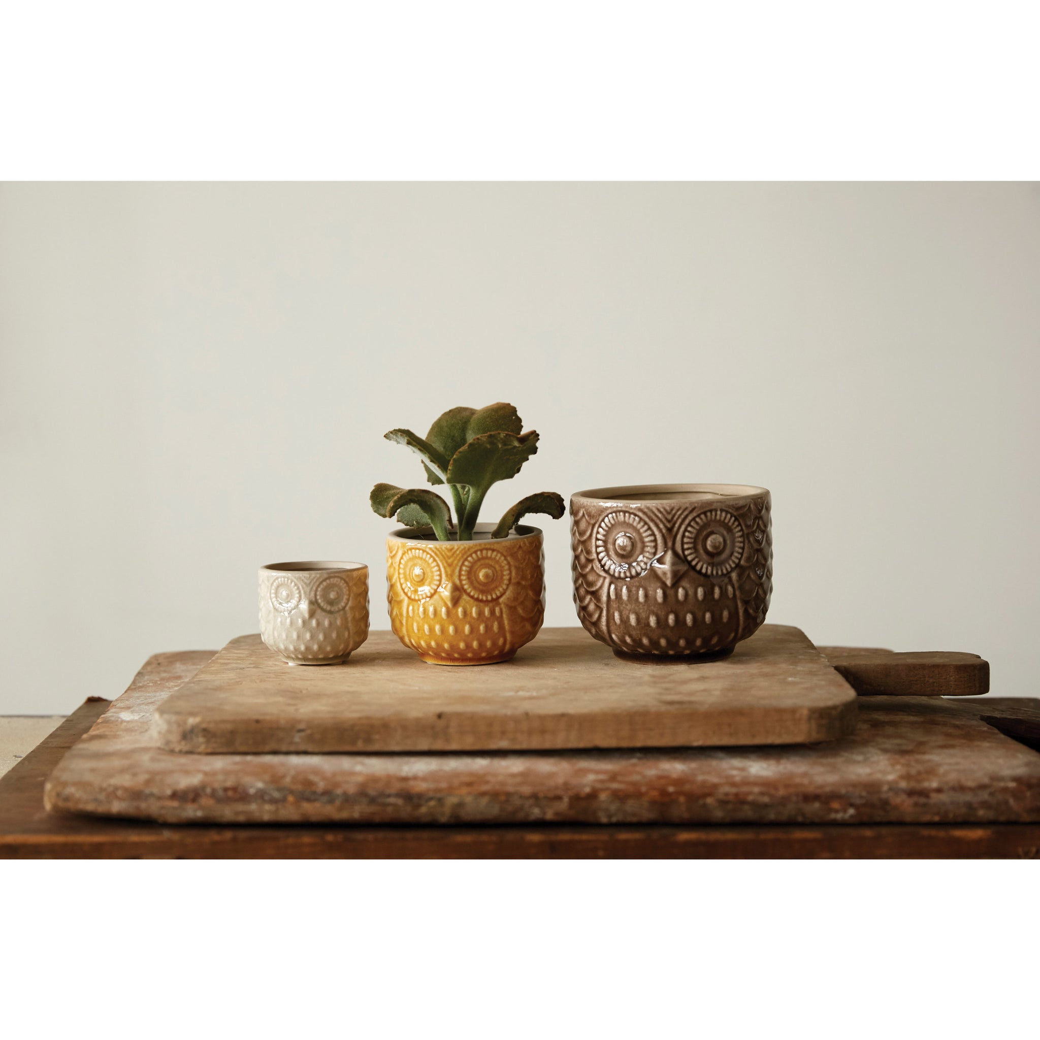 Owl Containers
