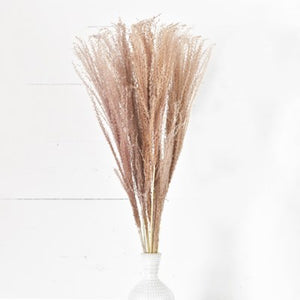 Natural Horsetail Bundle