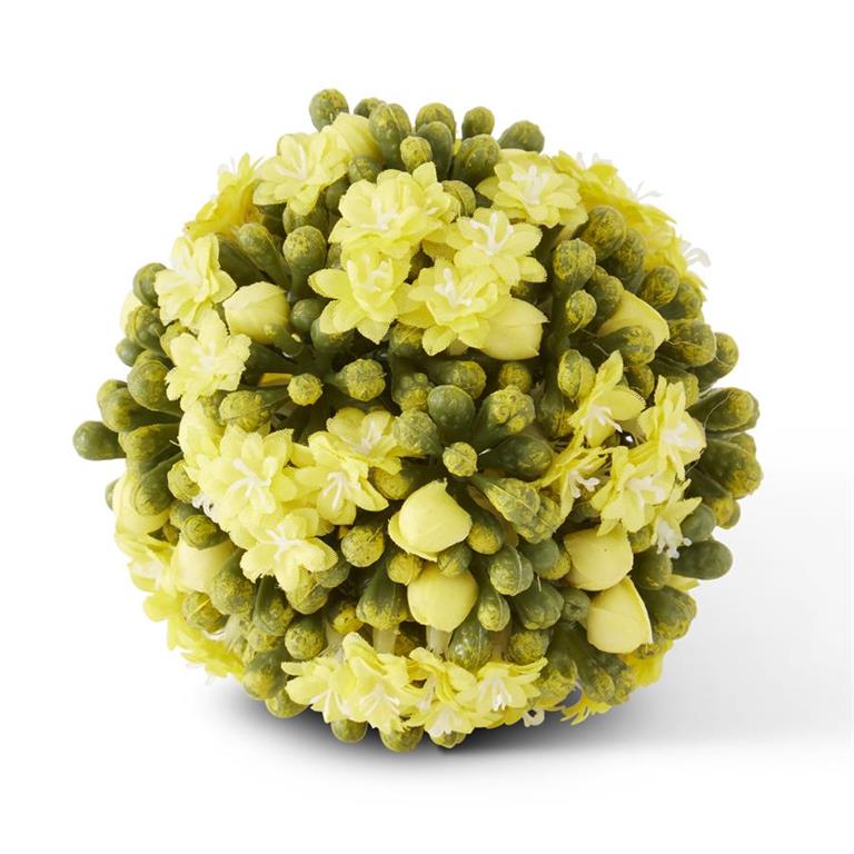 Kalanchoe Ball